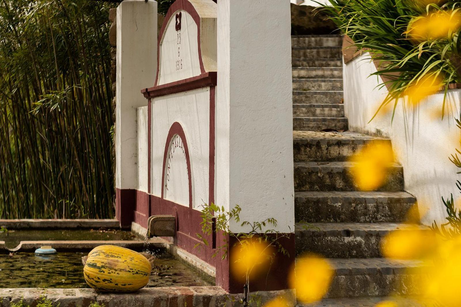Quinta Da Asneira Daire Montemor-o-Novo Dış mekan fotoğraf
