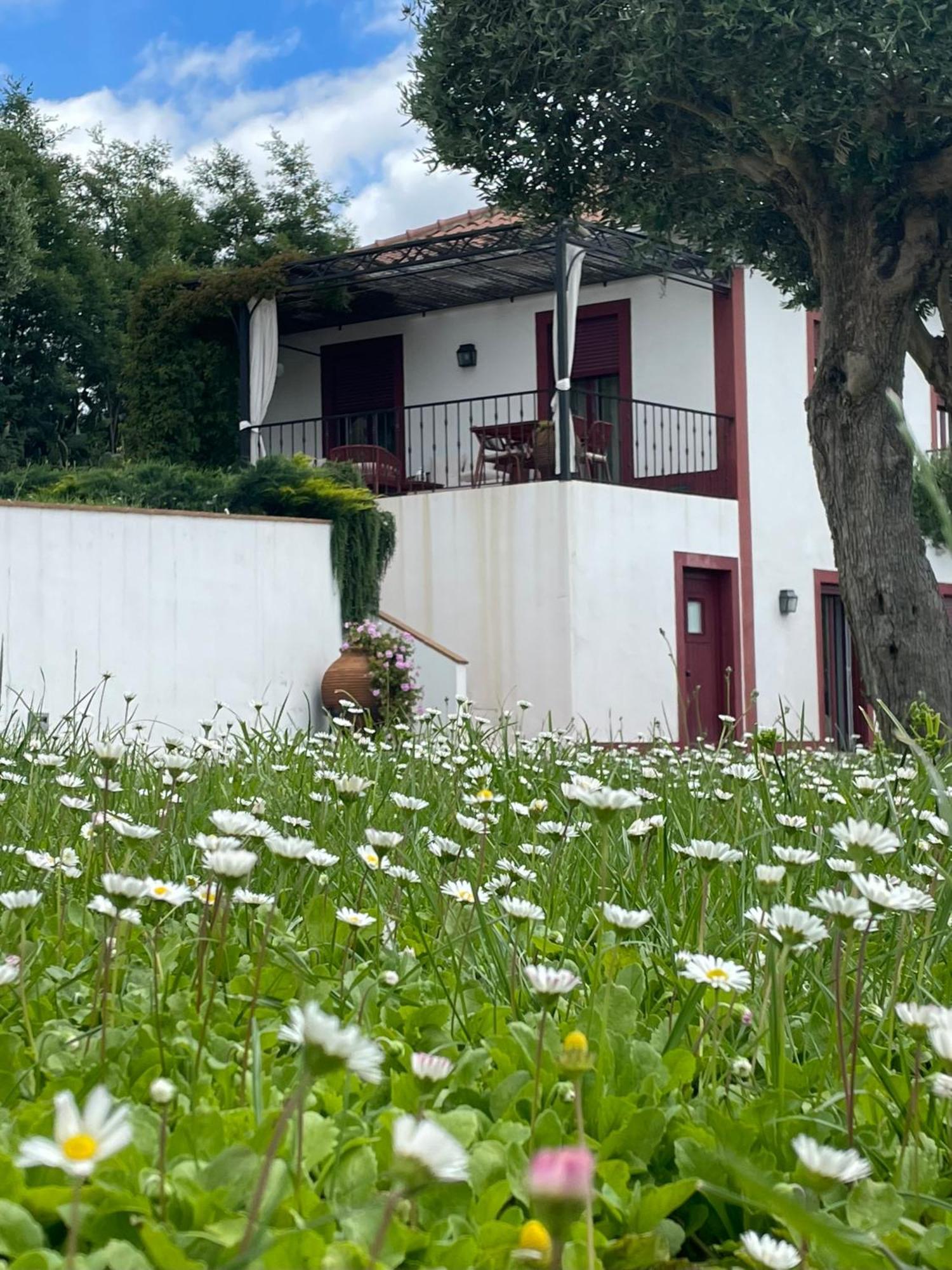Quinta Da Asneira Daire Montemor-o-Novo Dış mekan fotoğraf