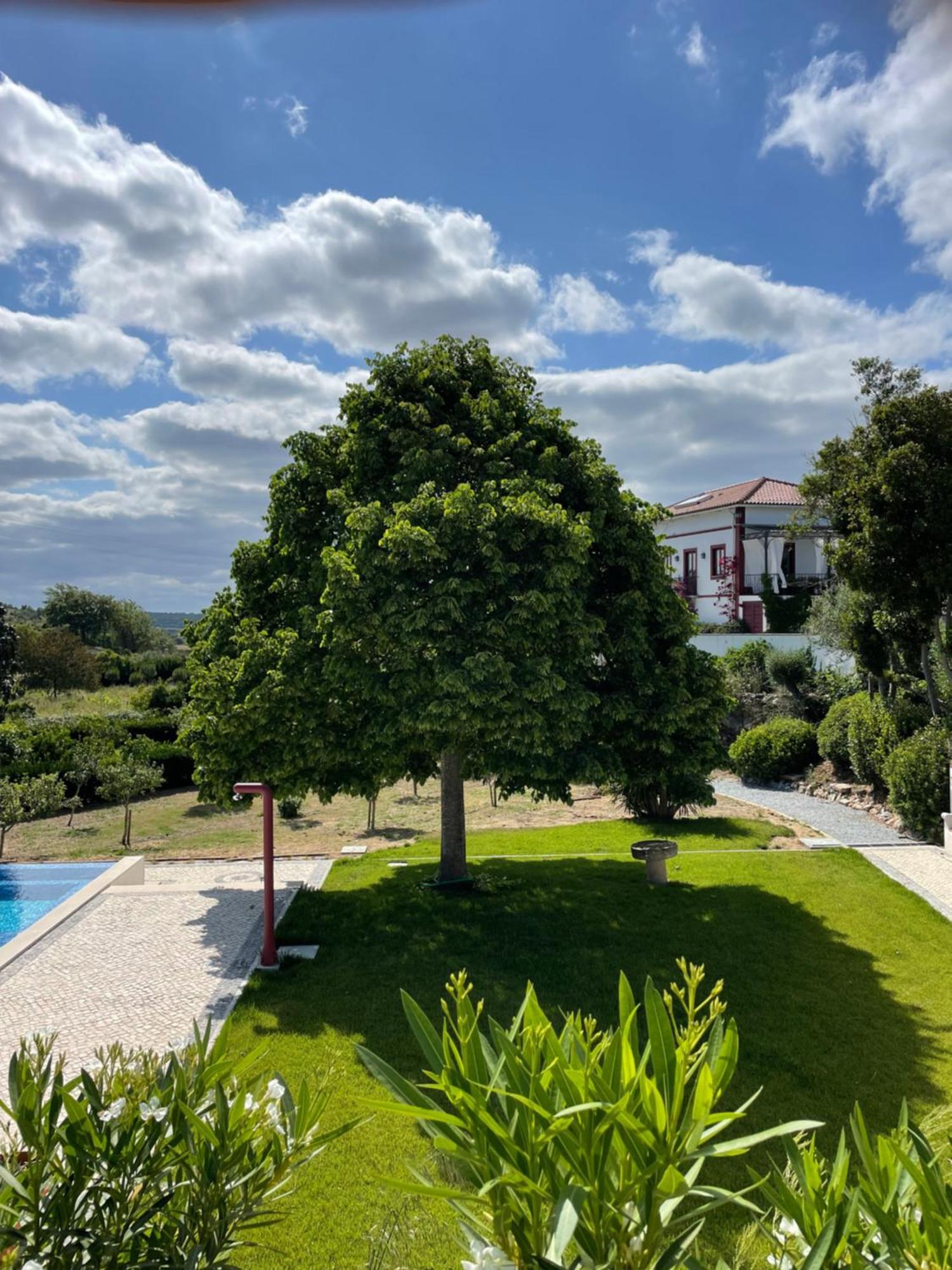 Quinta Da Asneira Daire Montemor-o-Novo Dış mekan fotoğraf