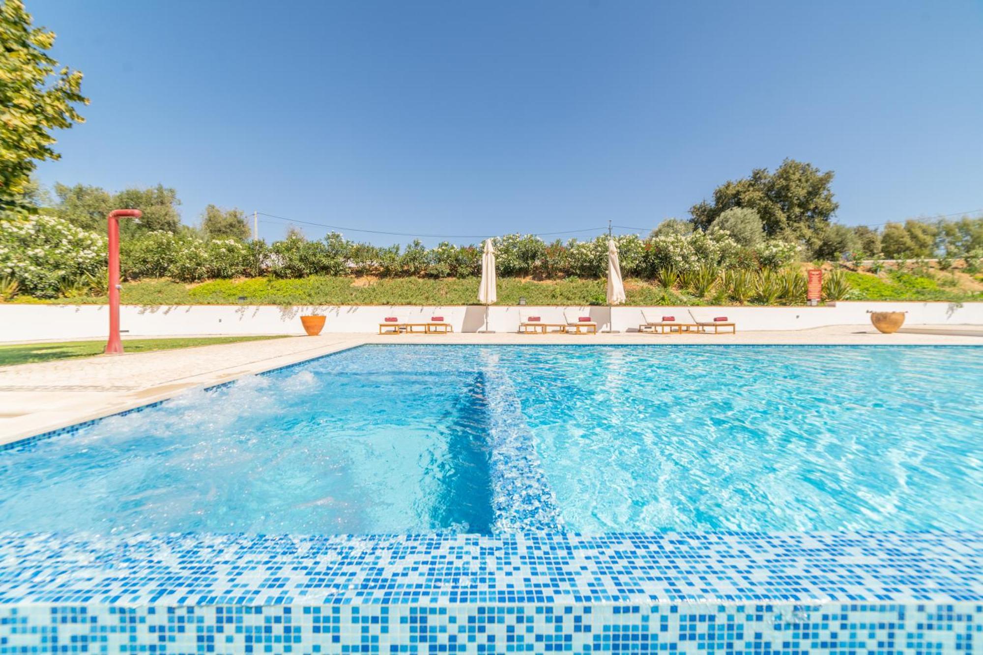Quinta Da Asneira Daire Montemor-o-Novo Dış mekan fotoğraf