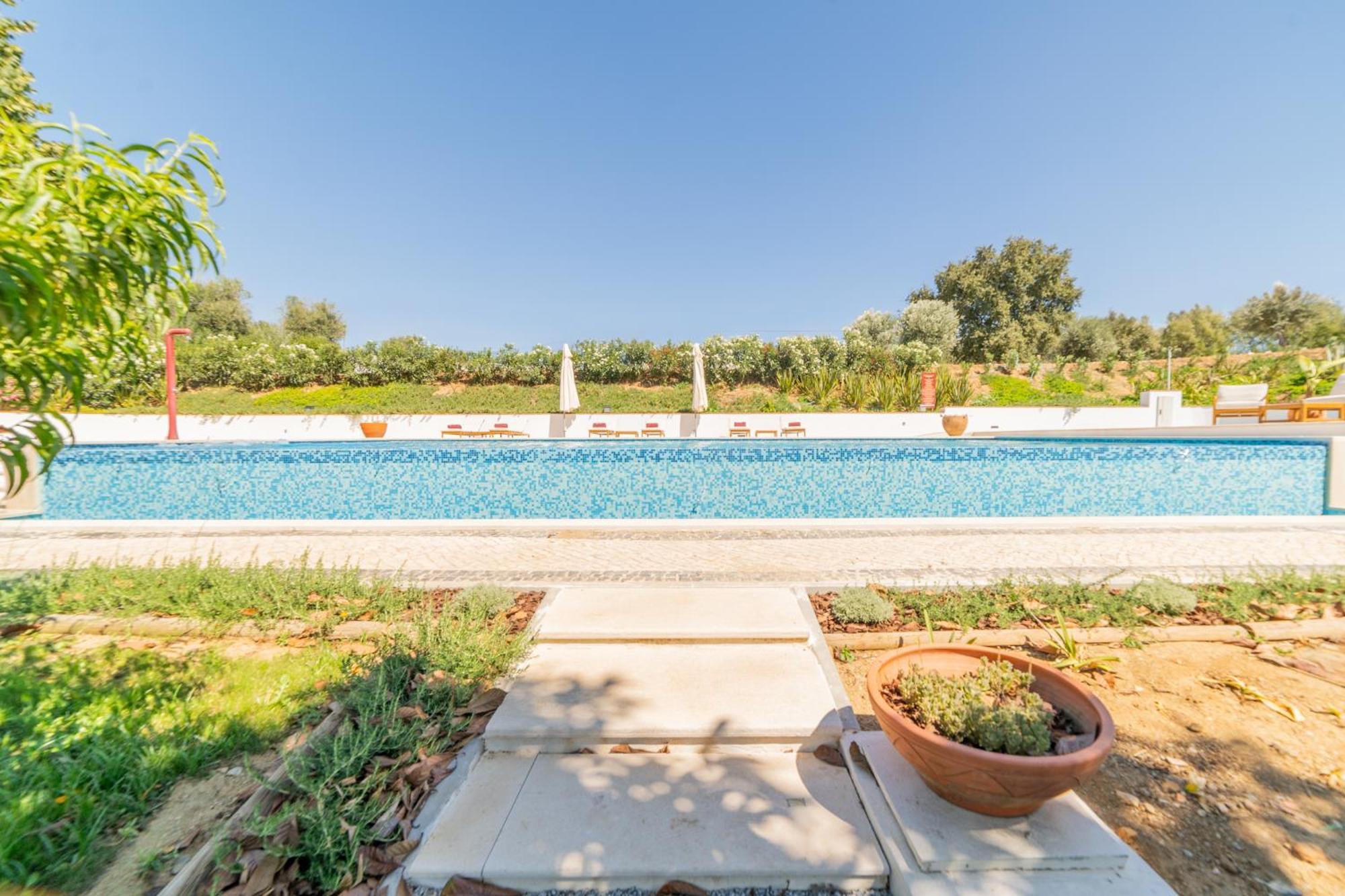 Quinta Da Asneira Daire Montemor-o-Novo Dış mekan fotoğraf